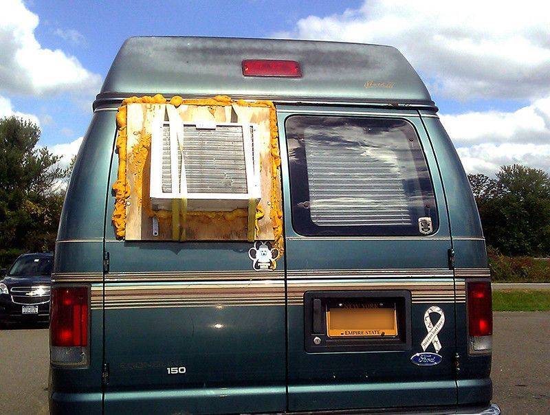 Daily Pictures. Part 2 (62 pics)