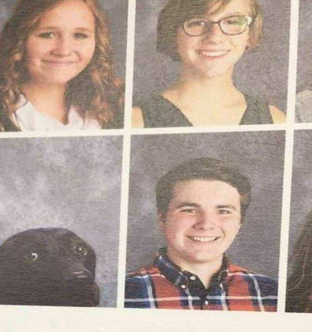 Daily Pictures. Part 1 (63 pics)