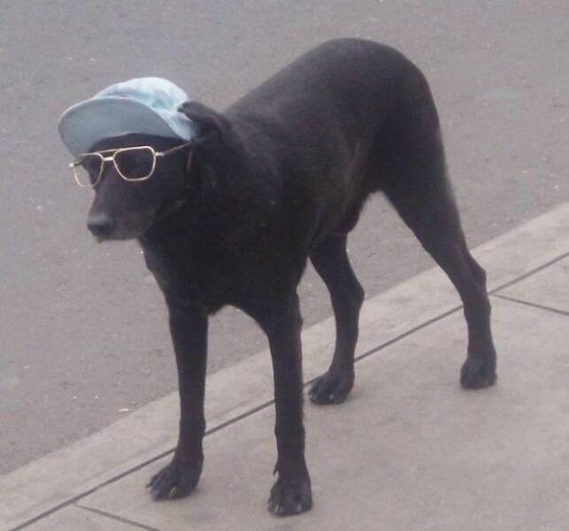 Daily Pictures. Part 2 (62 pics)