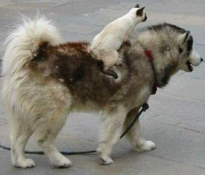 Daily Pictures. Part 1 (63 pics)