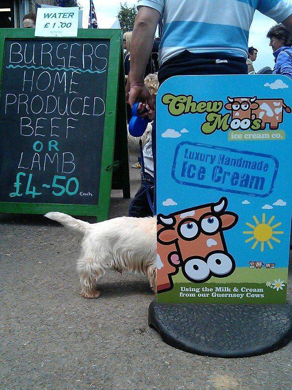 Daily Pictures. Part 1 (63 pics)