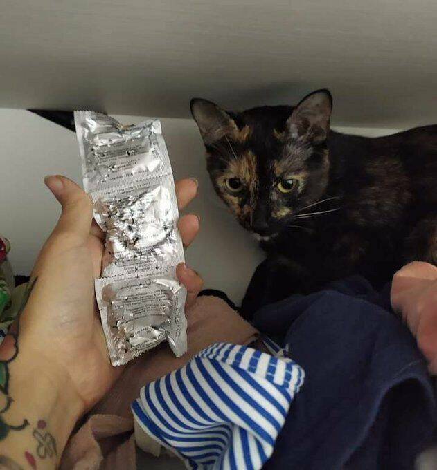 Daily Pictures. Part 2 (62 pics)