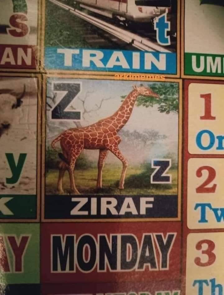 Daily Pictures. Part 1 (63 pics)