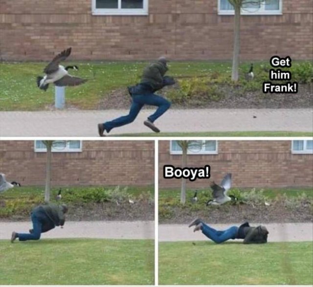 Daily Pictures. Part 2 (62 pics)