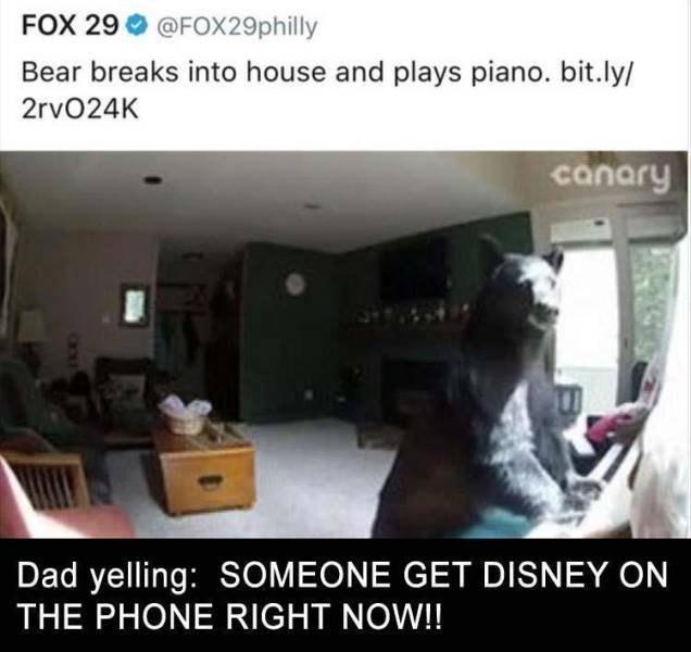 Daily Pictures. Part 2 (62 pics)