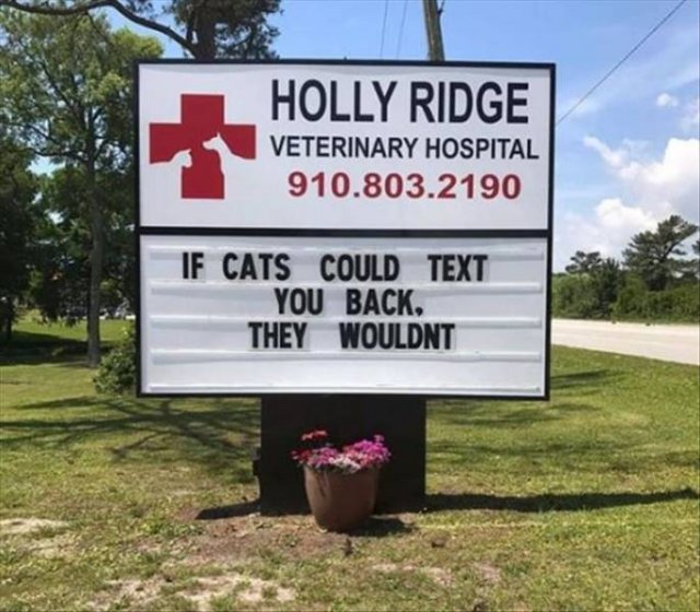 Daily Pictures. Part 2 (62 pics)