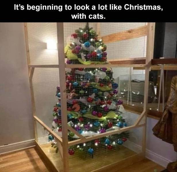 Daily Pictures. Part 2 (62 pics)