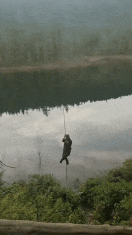 Acid GIFs, January 1 (25 gifs)