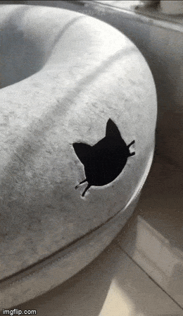 Acid GIFs, January 1 (25 gifs)