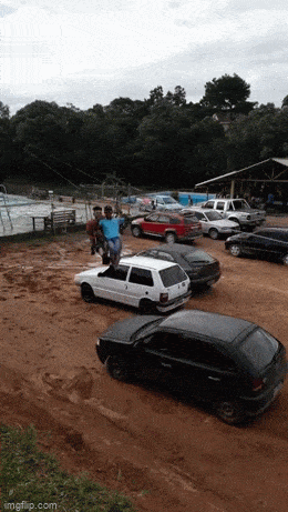 Acid GIFs, January 1 (25 gifs)