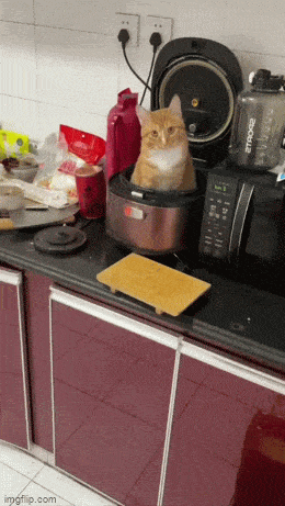 Acid GIFs, January 1 (25 gifs)