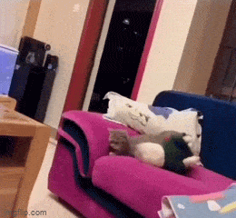 Acid GIFs, January 1 (25 gifs)