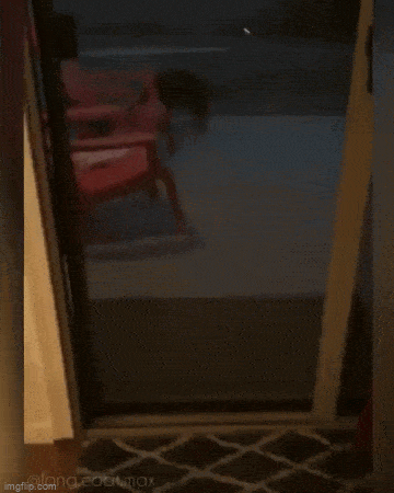 Acid GIFs, January 1 (25 gifs)