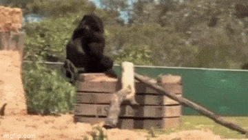 Acid GIFs, January 1 (25 gifs)