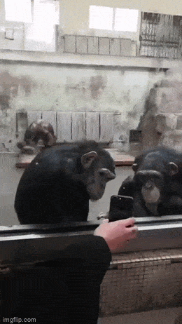 Acid GIFs, January 1 (25 gifs)