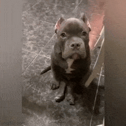 Acid GIFs, January 1 (25 gifs)