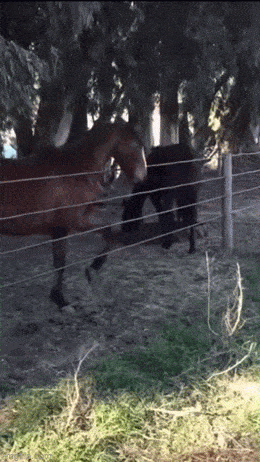 Acid GIFs, January 1 (25 gifs)