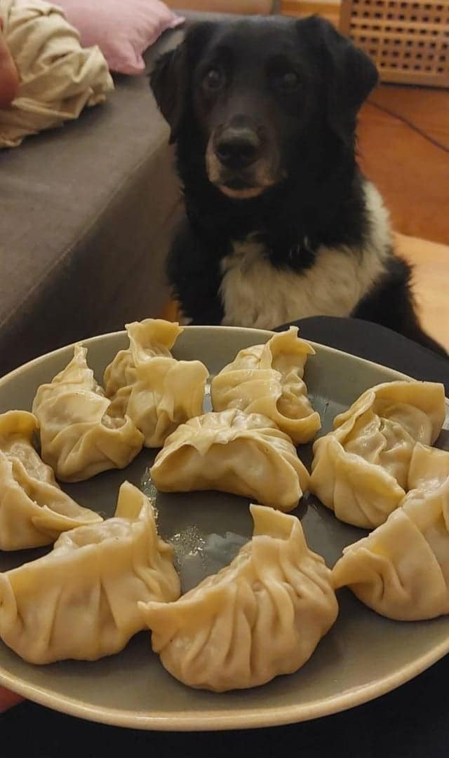 They Need Your Food (21 pics)