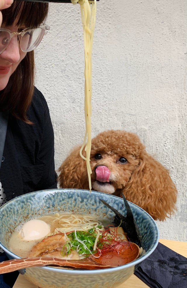 They Need Your Food (21 pics)