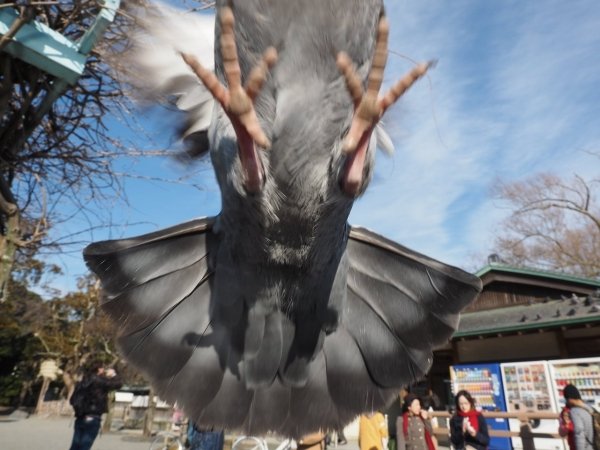 Right Moment (21 pics)