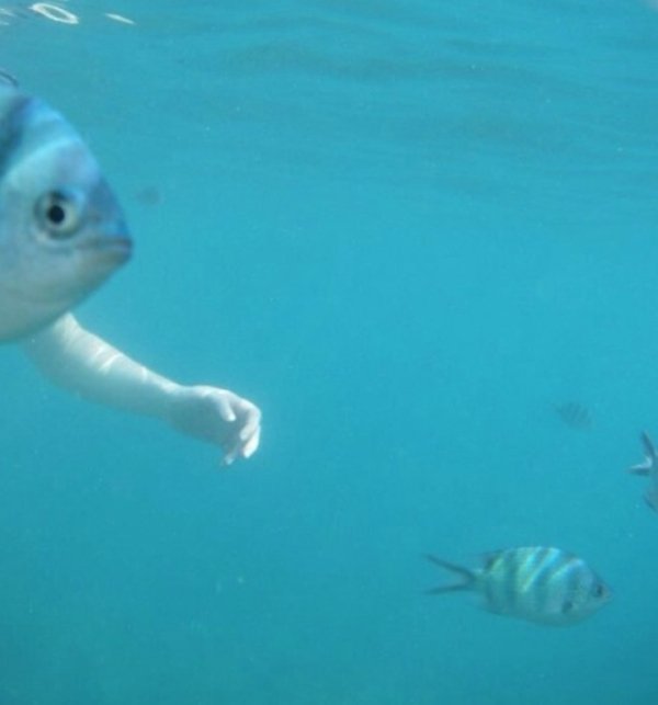 Right Moment (21 pics)