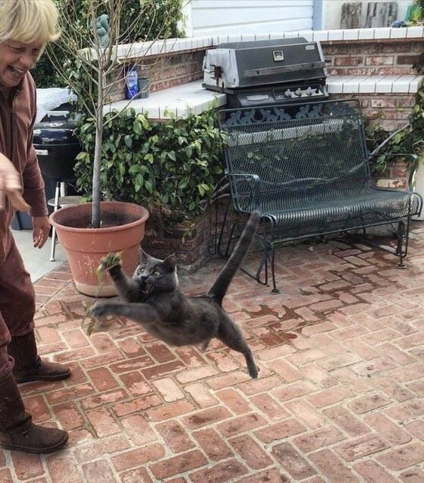 Right Moment (21 pics)