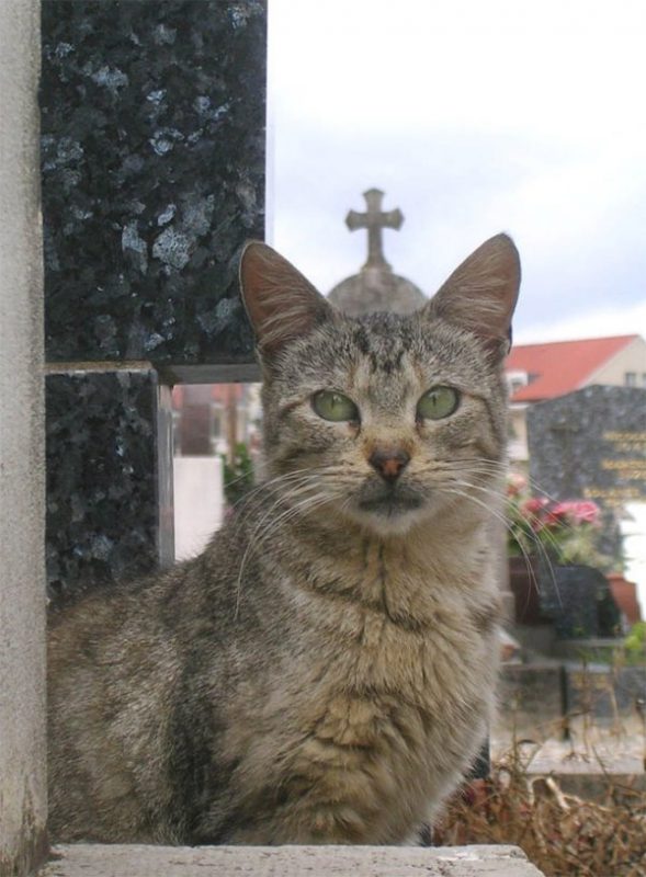 Right Moment (21 pics)