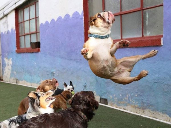 Right Moment (21 pics)