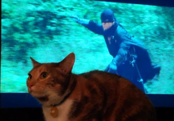 Right Moment (21 pics)