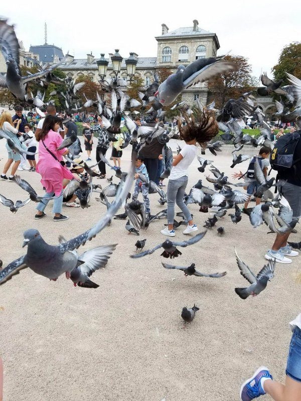 Right Moment (21 pics)