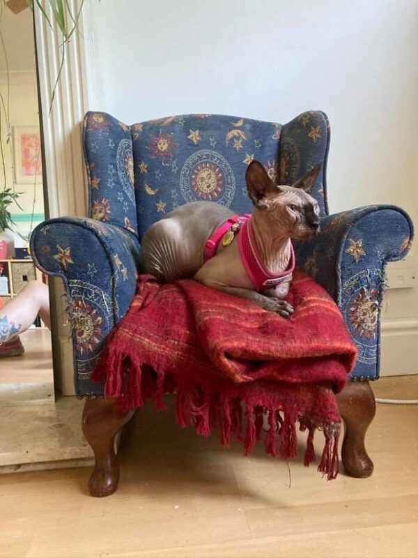 Weird Finds In Thrift Shops (29 pics)