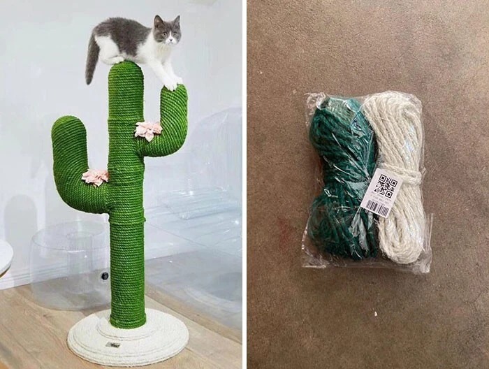 Unsuccessful Purchases (23 pics)