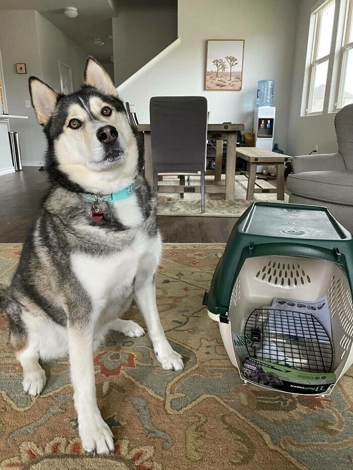 Unsuccessful Purchases (23 pics)