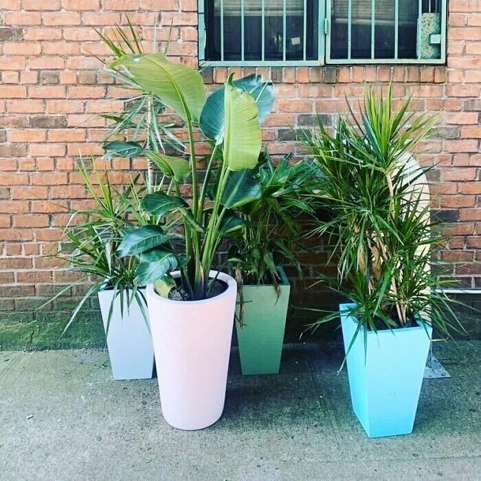 Cool Finds On The Roadside (29 pics)