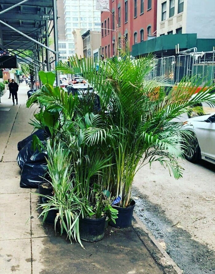 Cool Finds On The Roadside (29 pics)