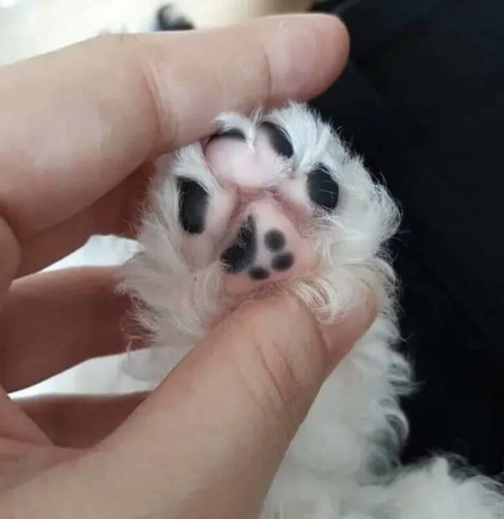 Glitches In The Matrix (22 pics)