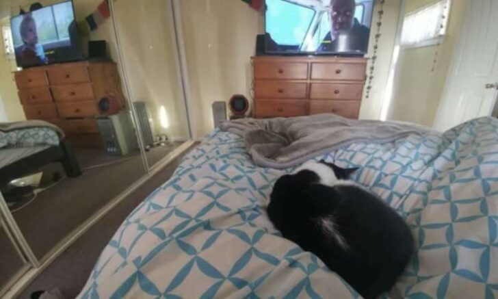 Glitches In The Matrix (22 pics)