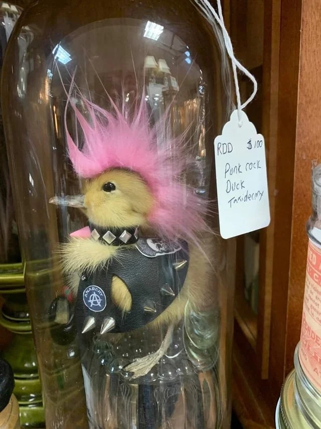 Crazy Designs (22 pics)