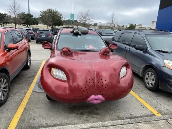 Crazy Designs (22 pics)