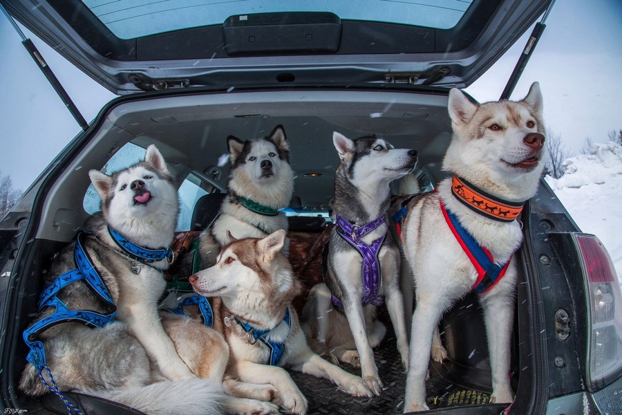 Daily Pictures. Part 1 (62 pics)