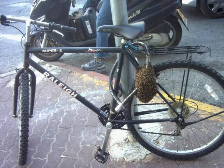 Daily Pictures. Part 1 (62 pics)