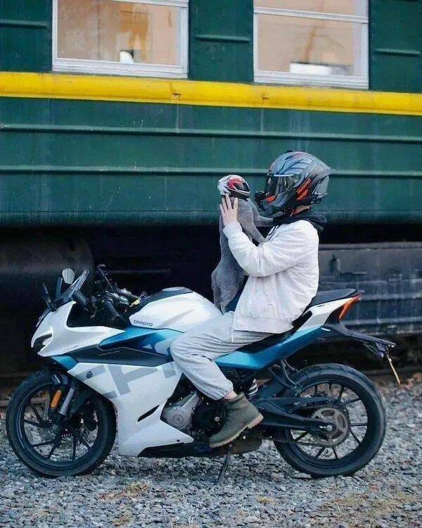 Daily Pictures. Part 1 (62 pics)