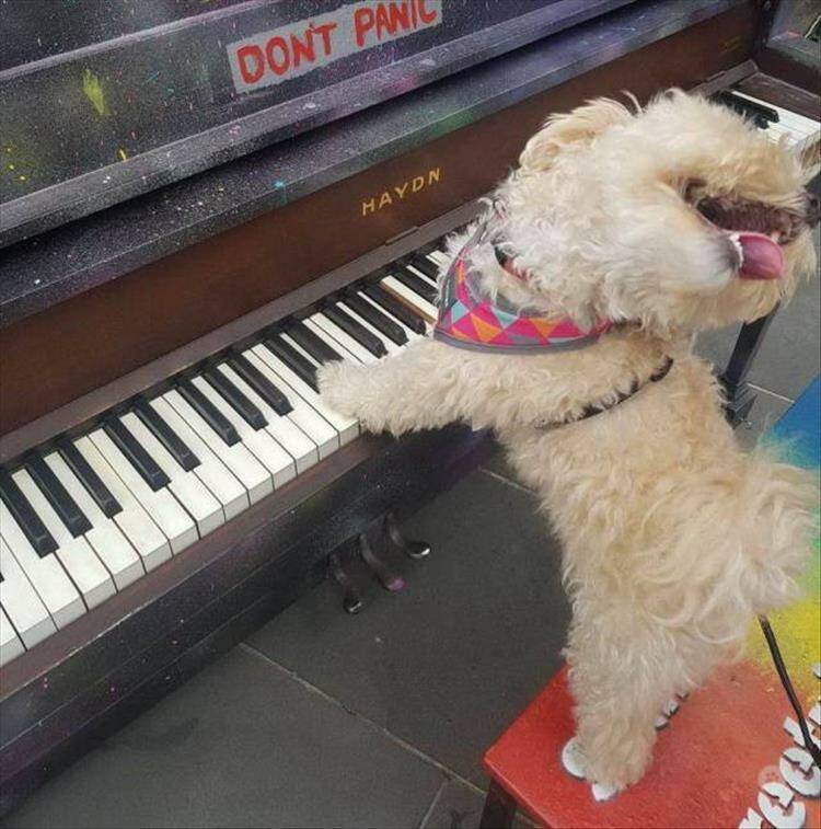 Daily Pictures. Part 1 (62 pics)