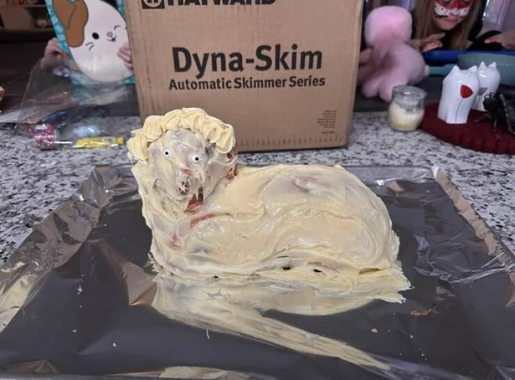 Daily Pictures. Part 2 (61 pics) Daily Pictures. Part 2 (61 pics)