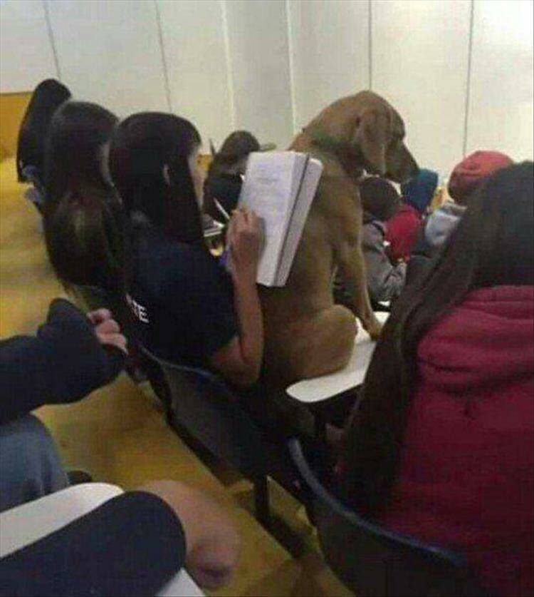 Daily Pictures. Part 1 (62 pics)