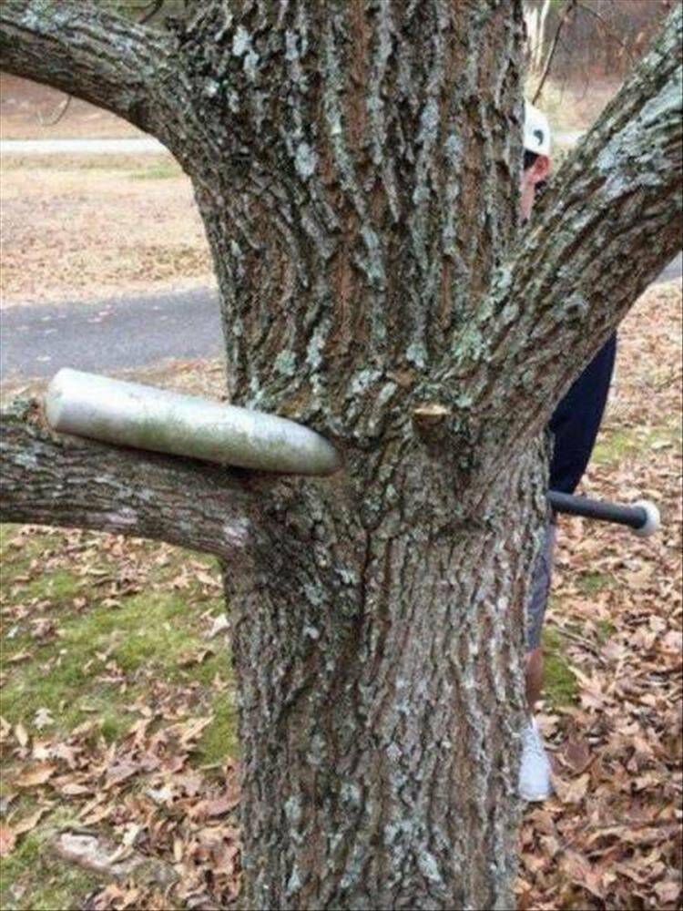 Daily Pictures. Part 2 (61 pics) Daily Pictures. Part 2 (61 pics)