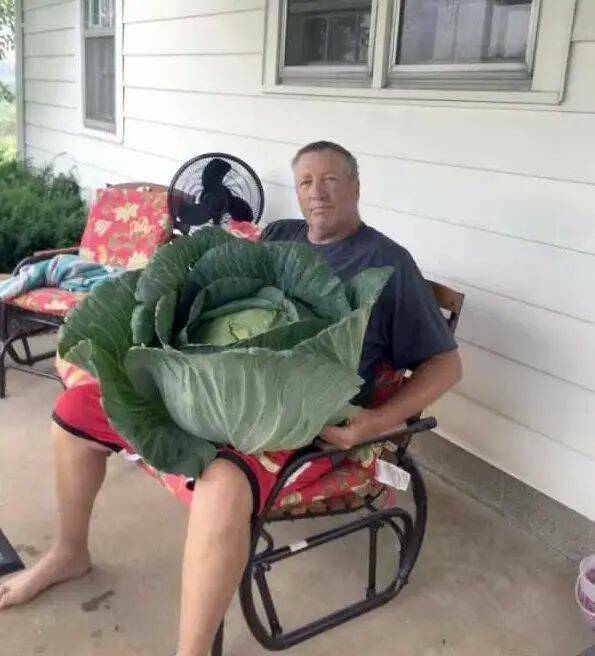 Daily Pictures. Part 2 (61 pics) Daily Pictures. Part 2 (61 pics)