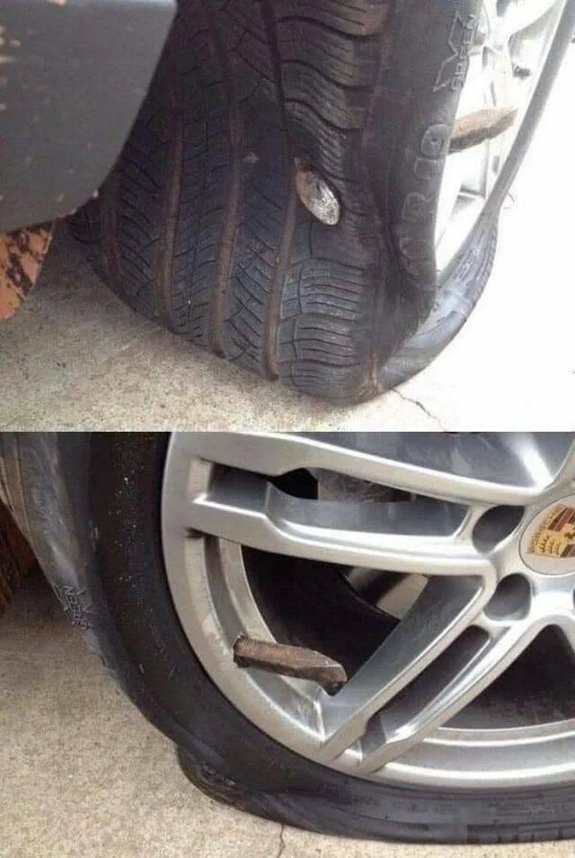 Daily Pictures. Part 2 (61 pics) Daily Pictures. Part 2 (61 pics)