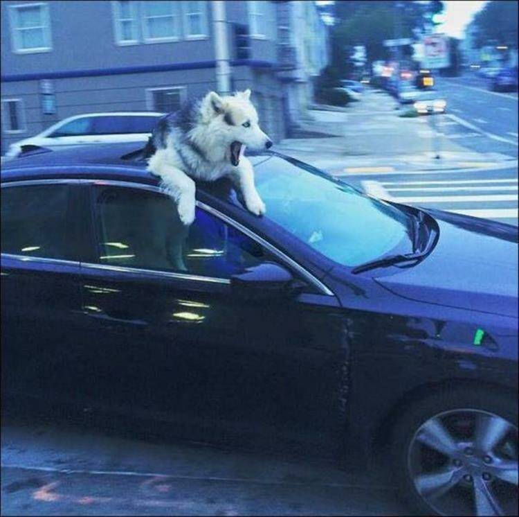 Daily Pictures. Part 1 (62 pics)