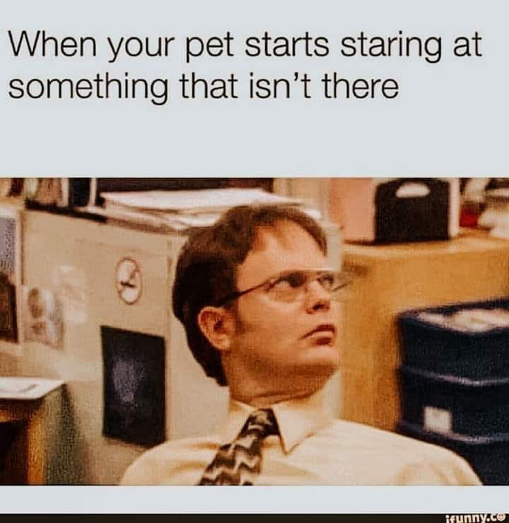 Daily Pictures. Part 2 (61 pics) Daily Pictures. Part 2 (61 pics)